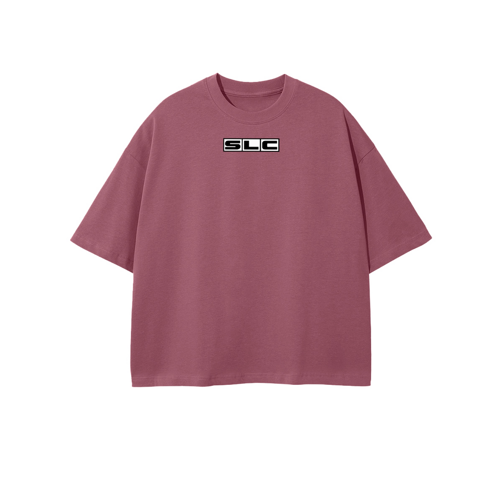 TEE-Shirt SLC / HKS logo noir